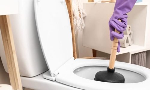 Blocked toilets in The Ponds resolved promptly to restore proper functionality